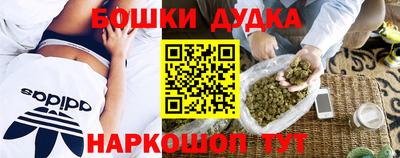гидропоника Краснокаменск